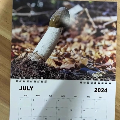 개인화 및 내구적인 나선 결합으로 사용자 지정 벽 달력을 돋보이게하십시오.